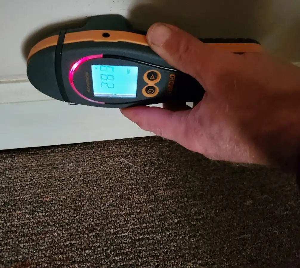 Moisture detection at baseboard during Sewage Cleanup & Sanitation in Fredericksburg
